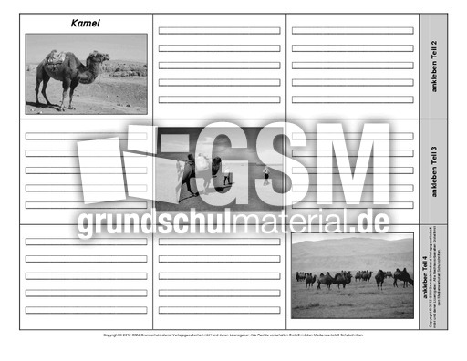 Leporello-Kamel-3-1-2.pdf